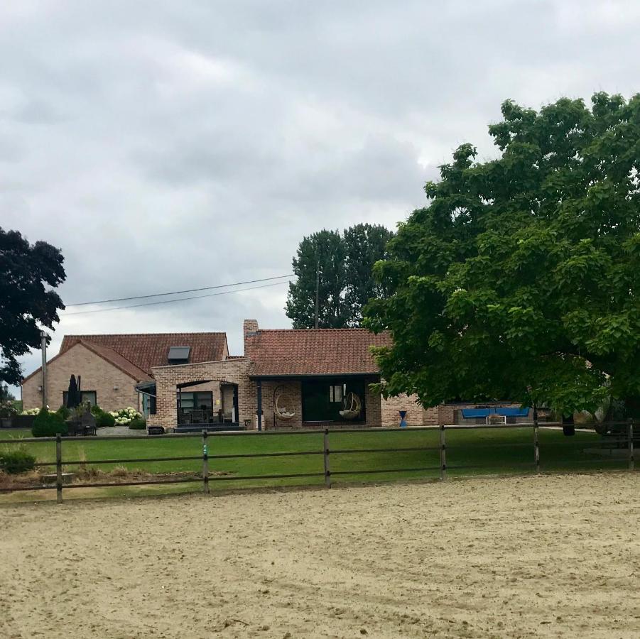 Een Prachtige En Luxueuze Vakantiewoning Dat Is Hof Leskensdaele Geraardsbergen Kültér fotó